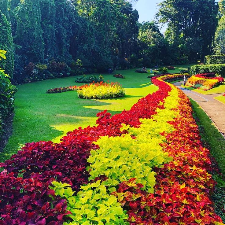Royal Botanic Gardens, Peradeniya