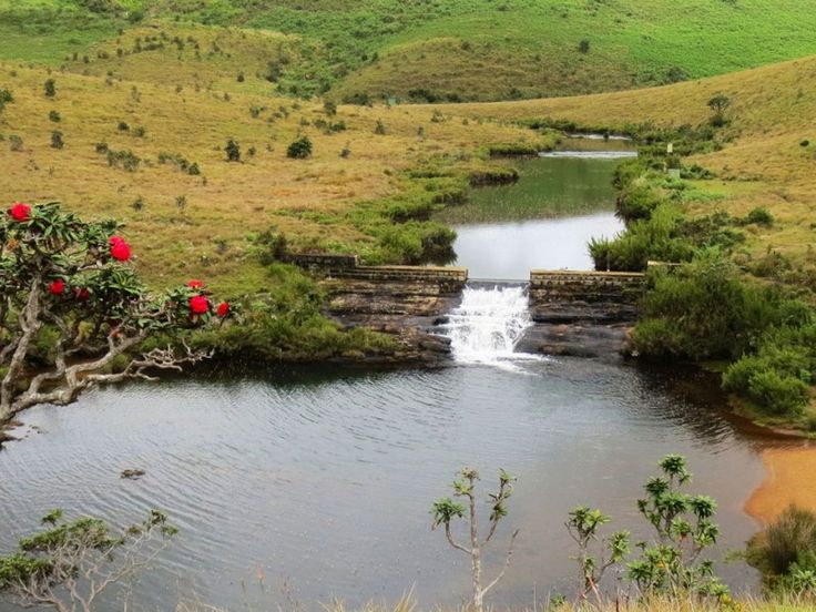 Horton Plains National Park