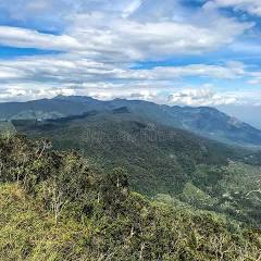 Mountain Forest Scenery (Peak Wilderness Sanctuary)