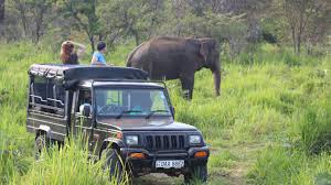 Jeep Safaris