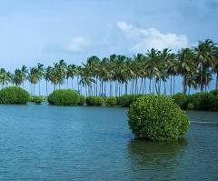 Kalpitiya Lagoon