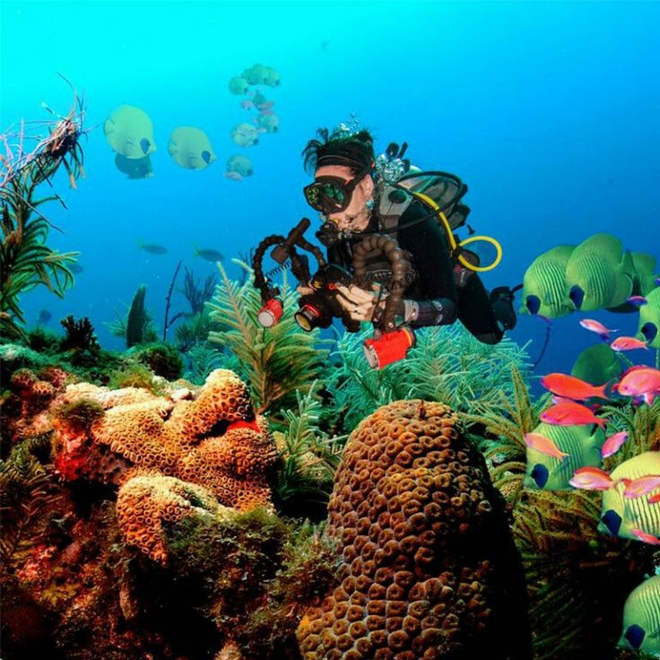 Snorkeling Areas (Hikkaduwa)